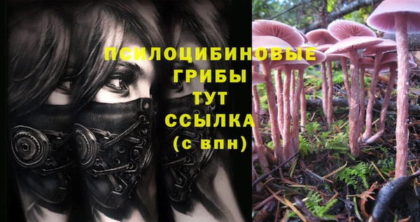 кокаин премиум Богданович