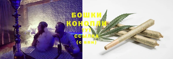 МДПВ Богородицк