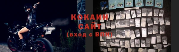 МДПВ Богородицк
