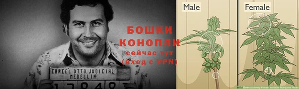 МДПВ Богородицк
