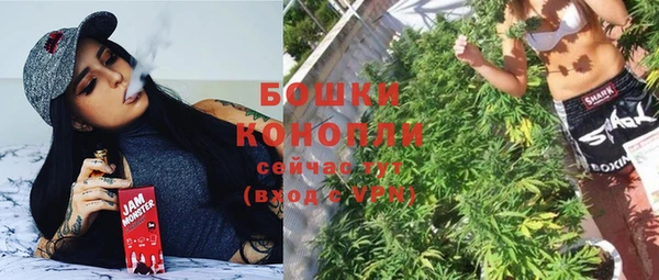 МДПВ Богородицк