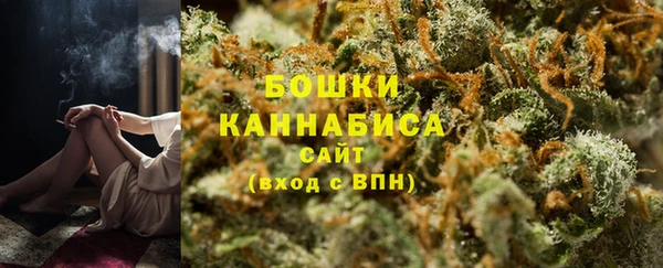 МДПВ Богородицк
