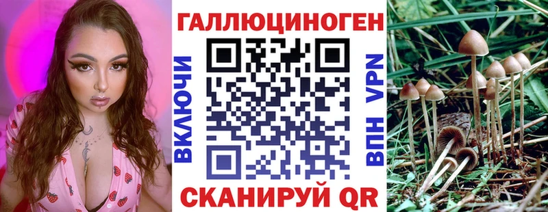 кракен рабочий сайт  Макаров  Псилоцибиновые грибы Psilocybine cubensis 